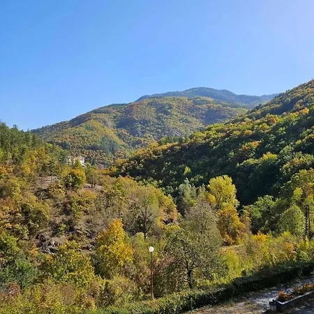 Apartament Forest Spring