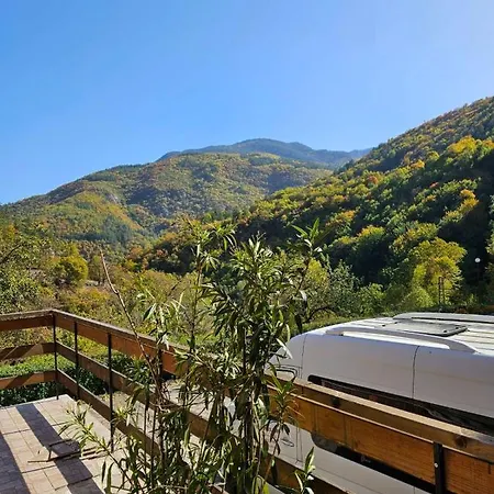 Forest Spring * Асеновград