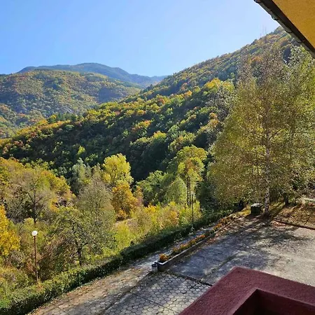 Forest Spring * Асеновград