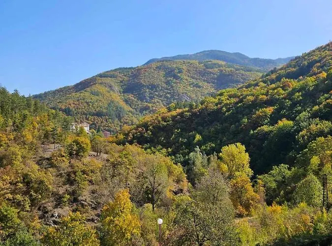 Апартамент Forest Spring