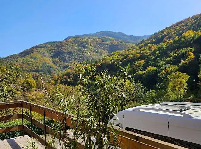 Forest Spring * Асеновград