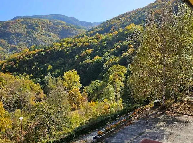 Forest Spring * Асеновград